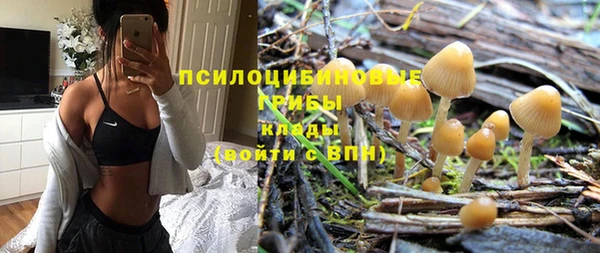 дмт Липки