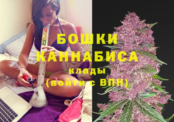 ГАЛЛЮЦИНОГЕННЫЕ ГРИБЫ Лиски
