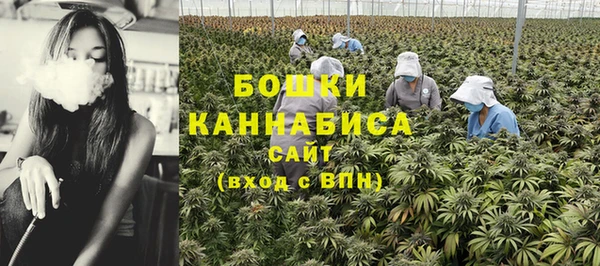 ГАЛЛЮЦИНОГЕННЫЕ ГРИБЫ Лиски