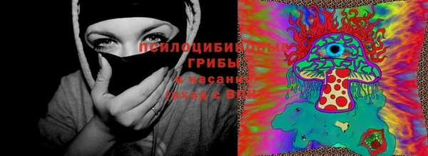 ГАЛЛЮЦИНОГЕННЫЕ ГРИБЫ Лиски