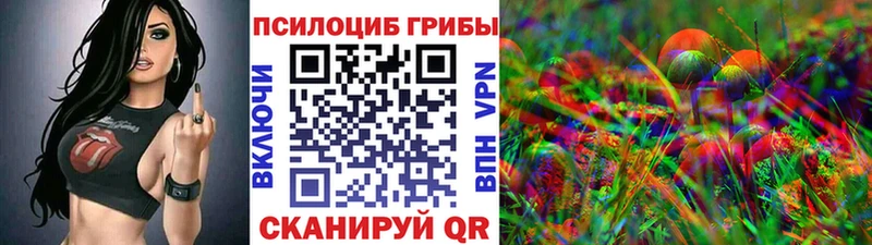 Псилоцибиновые грибы GOLDEN TEACHER  Талдом 